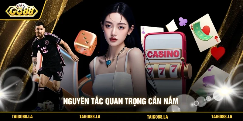 Nguyên tắc quan trọng cần nắm