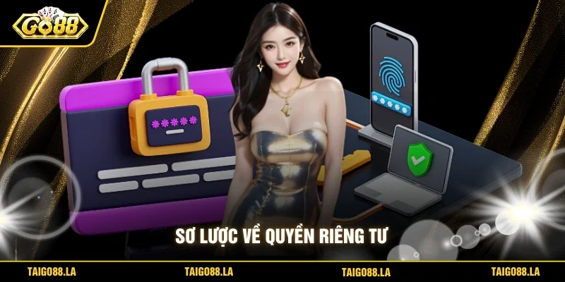 Sơ lược về quyền riêng tư